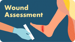 Wound Series Resource 1 - Wound Assessment
