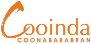 null logo